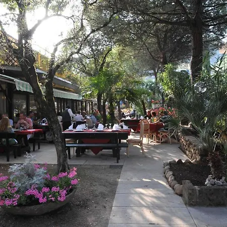 酒店 奥林波体育酒店